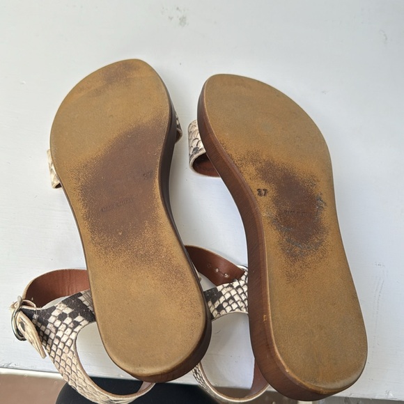 Snake Skin Leather Steve Madden Strappy Sandals - Picture 5 of 9